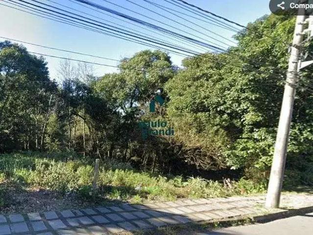 Terreno venda em Região Geográfica Imediata de Caxias do Sul, Caxias do Sul