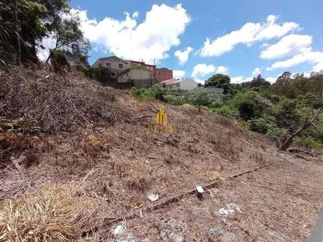 Terreno venda em Região Geográfica Imediata de Caxias do Sul, Caxias do Sul