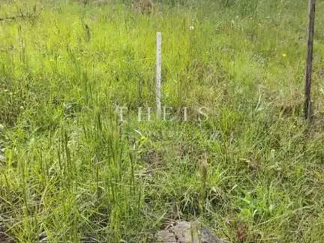 Terreno venda em Região Geográfica Imediata de Caxias do Sul, Caxias do Sul