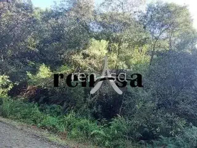Terreno venda em Região Geográfica Imediata de Caxias do Sul, Caxias do Sul