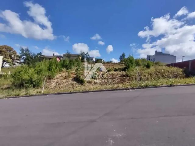 Terreno venda em Região Geográfica Imediata de Caxias do Sul, Caxias do Sul