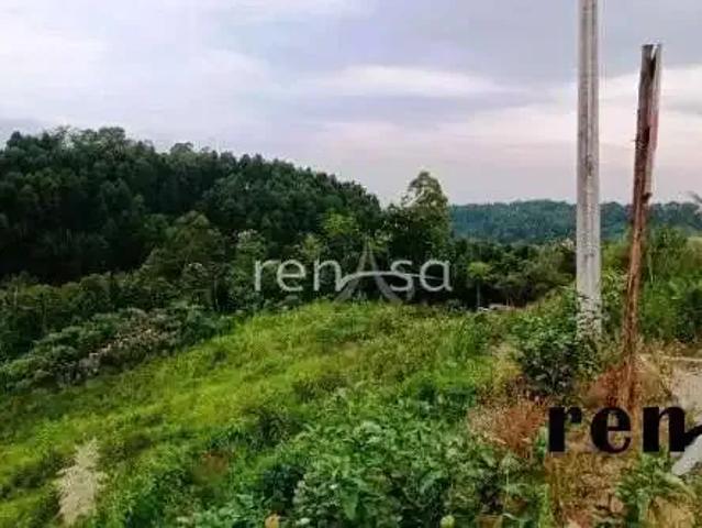Terreno venda em Região Geográfica Imediata de Caxias do Sul, Caxias do Sul