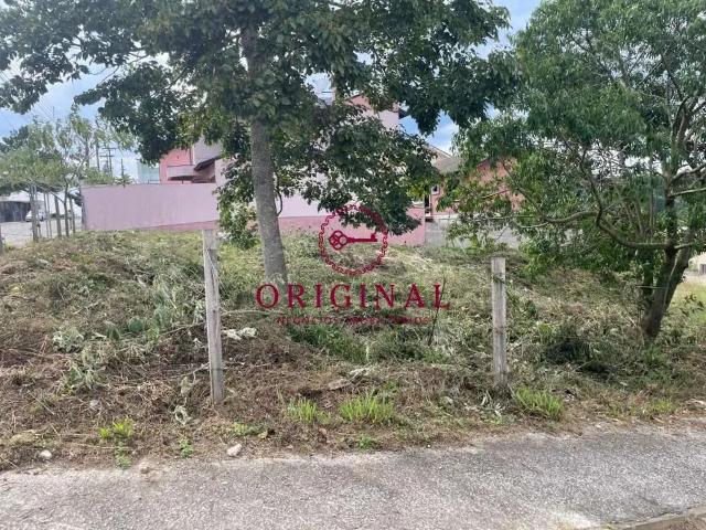 Terreno venda em Região Geográfica Imediata de Caxias do Sul, Caxias do Sul