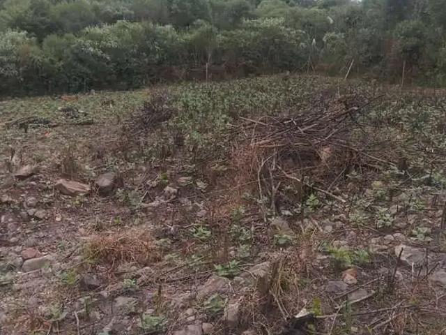 Terreno venda em Primeiro Distrito, Caxias do Sul