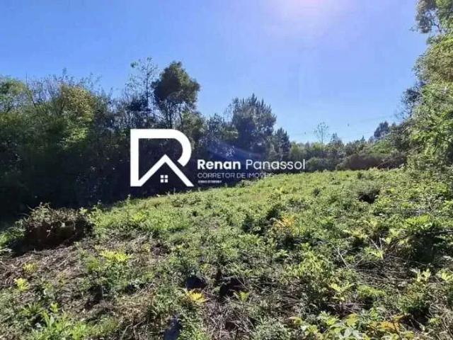 Terreno venda em Região Geográfica Imediata de Caxias do Sul, Caxias do Sul