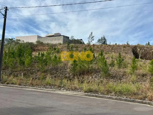 Terreno venda em Região Geográfica Imediata de Caxias do Sul, Caxias do Sul