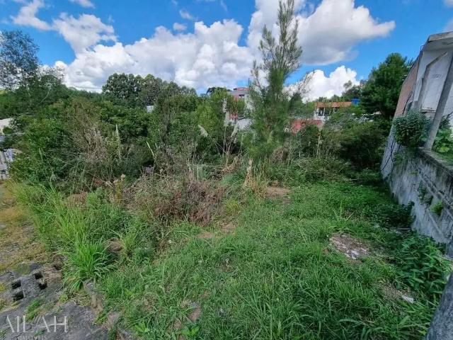 Terreno venda em Região Geográfica Imediata de Caxias do Sul, Caxias do Sul