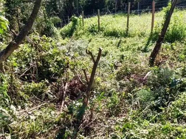 Terreno venda em Região Geográfica Imediata de Caxias do Sul, Caxias do Sul