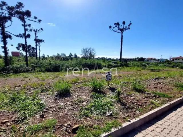 Terreno venda em Região Geográfica Imediata de Caxias do Sul, Caxias do Sul