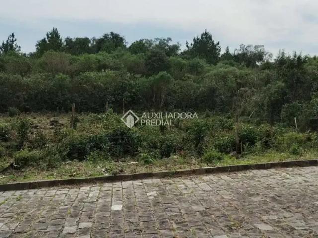 Terreno venda em Região Geográfica Imediata de Caxias do Sul, Caxias do Sul