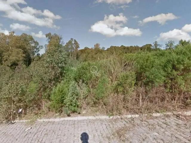 Terreno venda em Região Geográfica Imediata de Caxias do Sul, Caxias do Sul