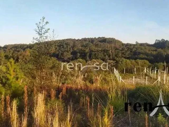 Terreno venda em Região Geográfica Imediata de Caxias do Sul, Caxias do Sul