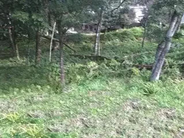 Terreno venda em Região Geográfica Imediata de Caxias do Sul, Caxias do Sul