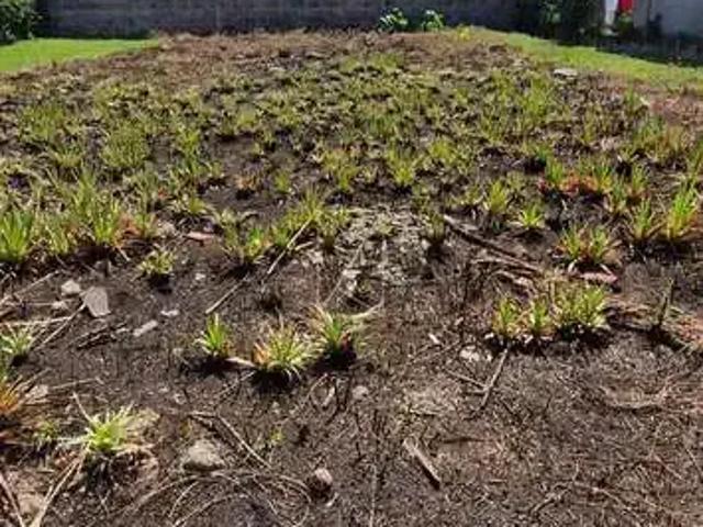 Terreno venda em Região Geográfica Imediata de Caxias do Sul, Caxias do Sul