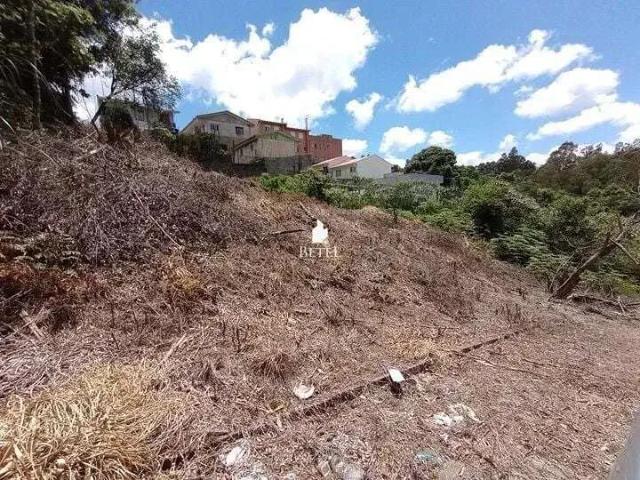 Terreno venda em Região Geográfica Imediata de Caxias do Sul, Caxias do Sul