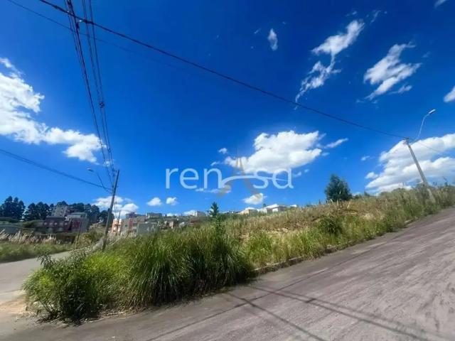 Terreno venda em Região Geográfica Imediata de Caxias do Sul, Caxias do Sul