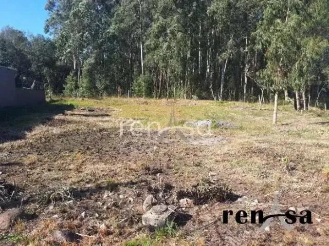 Terreno venda em Região Geográfica Imediata de Caxias do Sul, Caxias do Sul