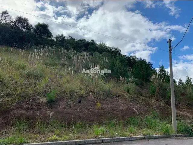 Terreno venda em Região Geográfica Imediata de Caxias do Sul, Caxias do Sul