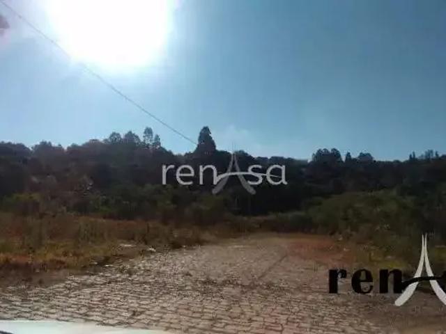 Terreno venda em Região Geográfica Imediata de Caxias do Sul, Caxias do Sul
