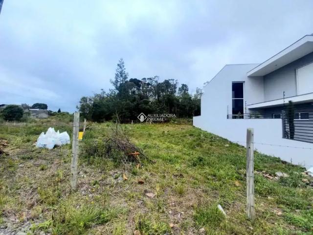 Terreno venda em Região Geográfica Imediata de Caxias do Sul, Caxias do Sul