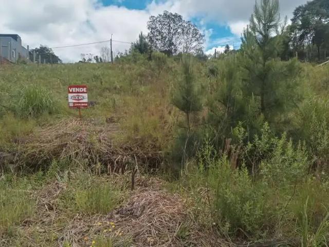 Terreno venda em Região Geográfica Imediata de Caxias do Sul, Caxias do Sul