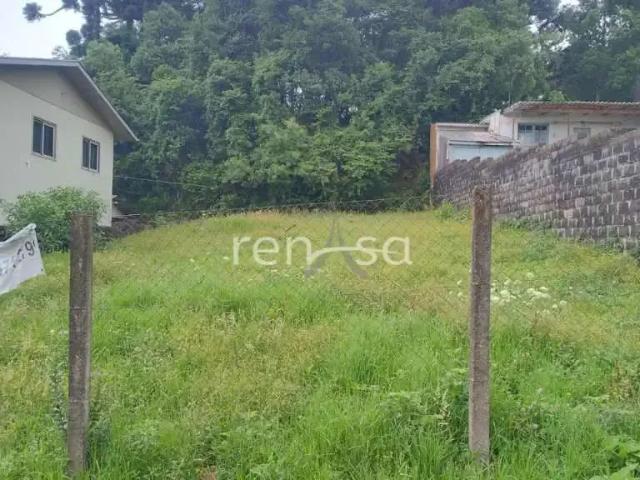 Terreno venda em Região Geográfica Imediata de Caxias do Sul, Flores da Cunha