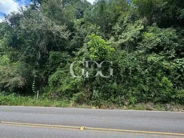 Terreno venda em Região Geográfica Imediata de Caxias do Sul, Caxias do Sul