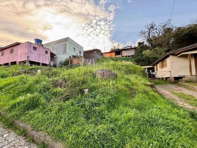 Terreno venda em Região Geográfica Imediata de Caxias do Sul, Caxias do Sul