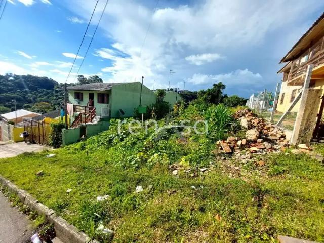 Terreno venda em Região Geográfica Imediata de Caxias do Sul, Flores da Cunha
