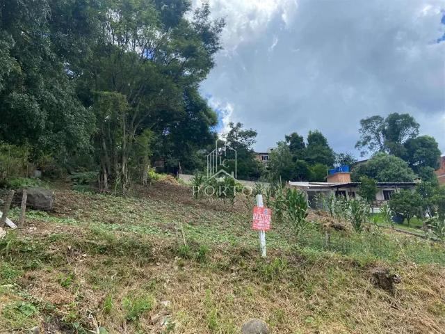 Terreno venda em Região Geográfica Imediata de Caxias do Sul, Caxias do Sul