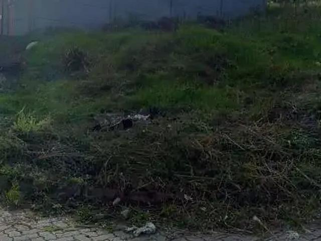Terreno venda em Região Geográfica Imediata de Caxias do Sul, Caxias do Sul