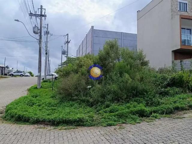 Terreno venda em Região Geográfica Imediata de Caxias do Sul, Caxias do Sul