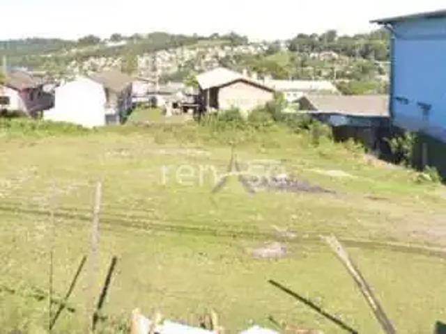 Terreno venda em Região Geográfica Imediata de Caxias do Sul, Flores da Cunha