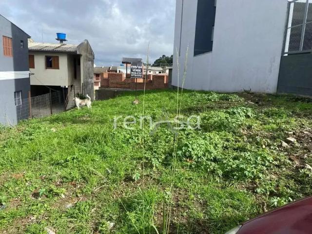 Terreno venda em Região Geográfica Imediata de Caxias do Sul, Flores da Cunha