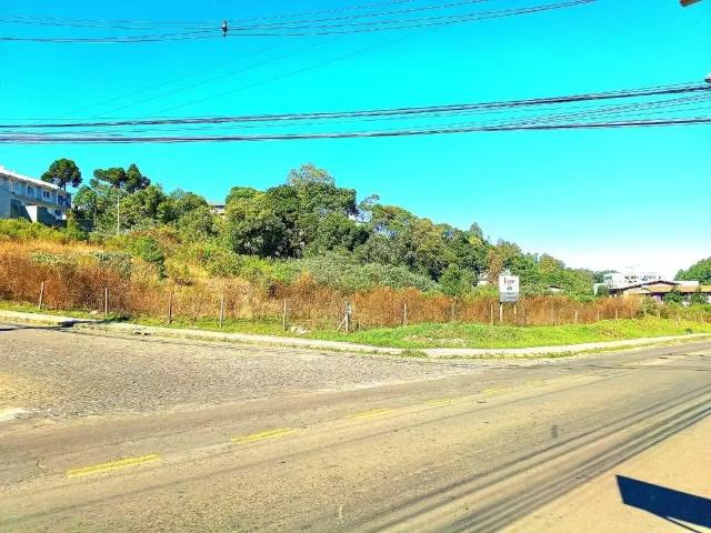 Terreno venda em Região Geográfica Imediata de Caxias do Sul, Caxias do Sul