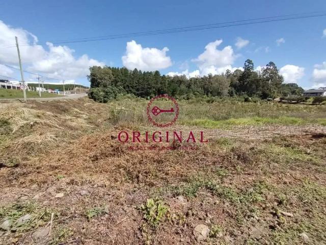 Terreno venda em Vila Esperança, Farroupilha