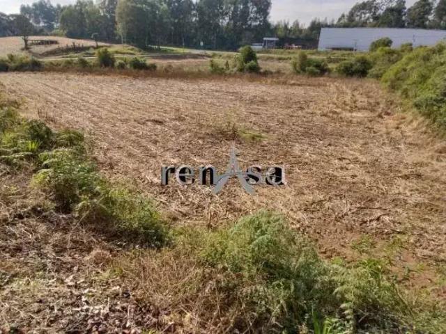 Terreno venda em Região Geográfica Imediata de Caxias do Sul, Caxias do Sul