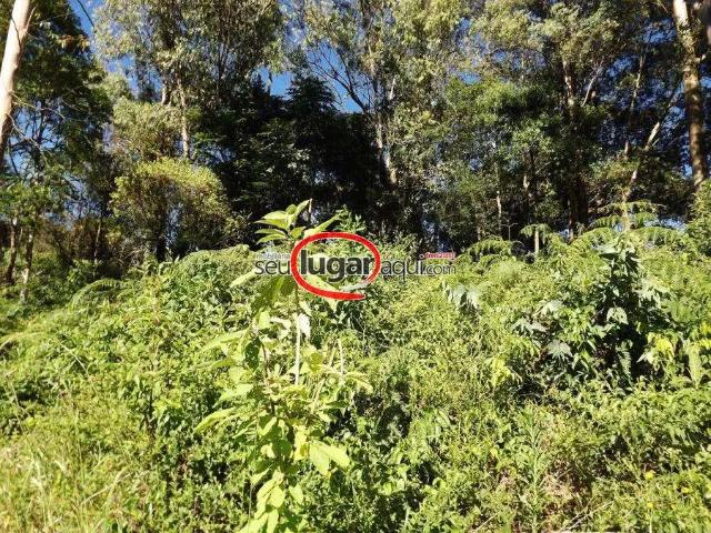 Terreno venda em Região Geográfica Imediata de Caxias do Sul, Caxias do Sul