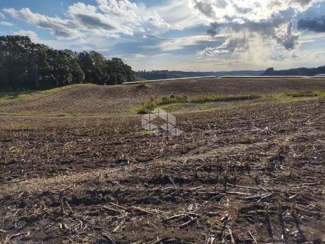 Terreno venda em Região Geográfica Imediata de Caxias do Sul, Flores da Cunha