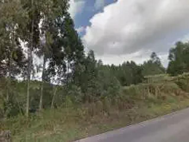 Terreno venda em Região Geográfica Imediata de Caxias do Sul, Caxias do Sul
