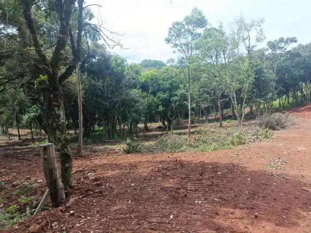 Terreno venda em Região Geográfica Imediata de Caxias do Sul, Caxias do Sul