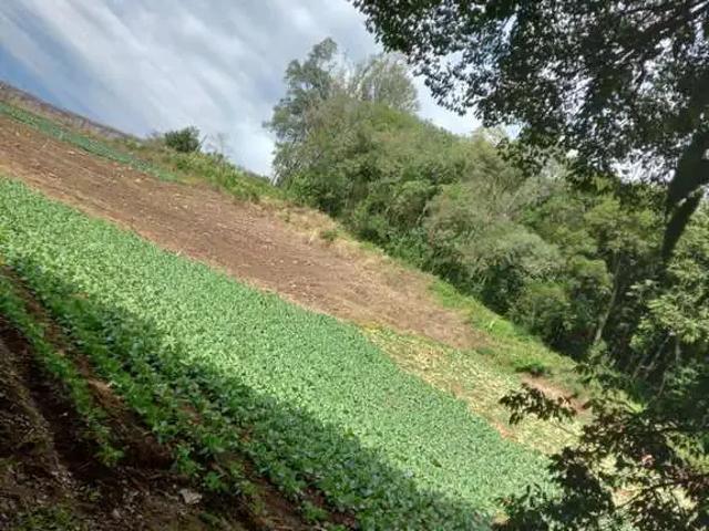 Terreno venda em Região Geográfica Imediata de Caxias do Sul, Caxias do Sul