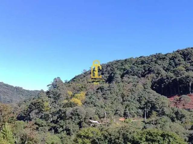 Terreno venda em Região Geográfica Imediata de Caxias do Sul, Caxias do Sul