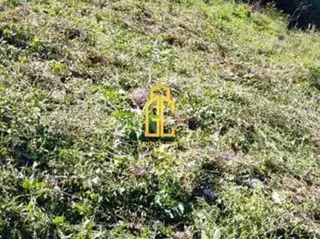 Terreno venda em Região Geográfica Imediata de Caxias do Sul, Caxias do Sul