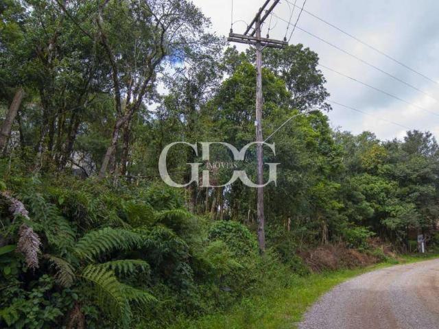 Terreno venda em Região Geográfica Imediata de Caxias do Sul, Caxias do Sul