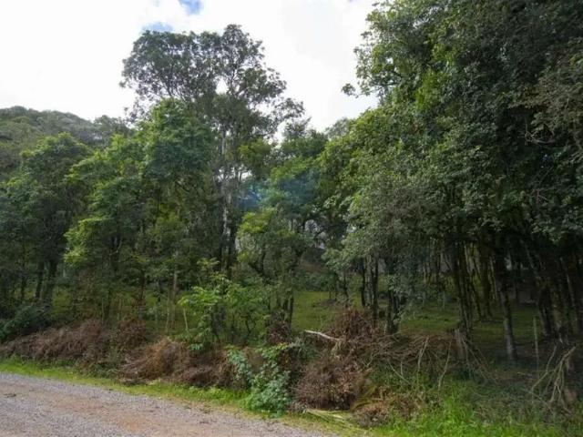 Terreno venda em Região Geográfica Imediata de Caxias do Sul, Caxias do Sul