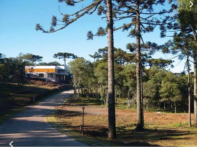 Terreno venda em Região Geográfica Imediata de Caxias do Sul, Caxias do Sul
