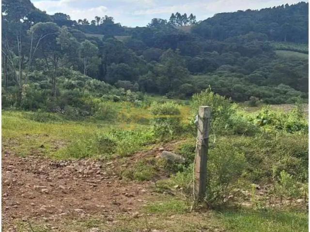 Terreno venda em Região Geográfica Imediata de Caxias do Sul, Caxias do Sul