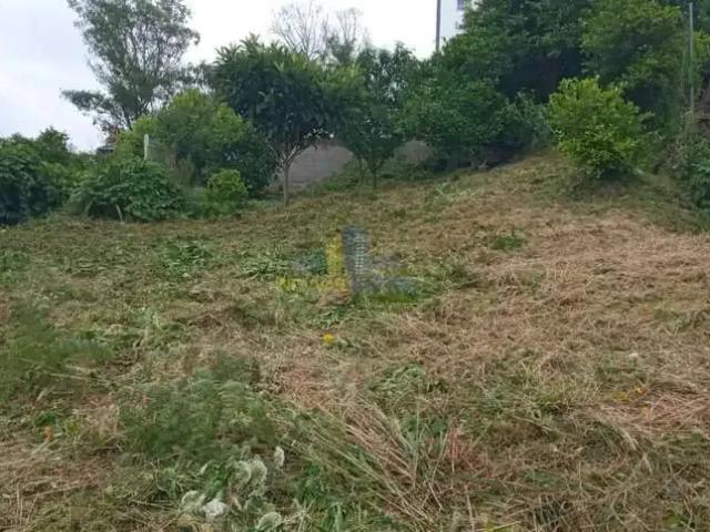 Terreno venda em Região Geográfica Imediata de Caxias do Sul, Caxias do Sul