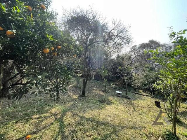 Terreno venda em Região Geográfica Imediata de Caxias do Sul, Caxias do Sul